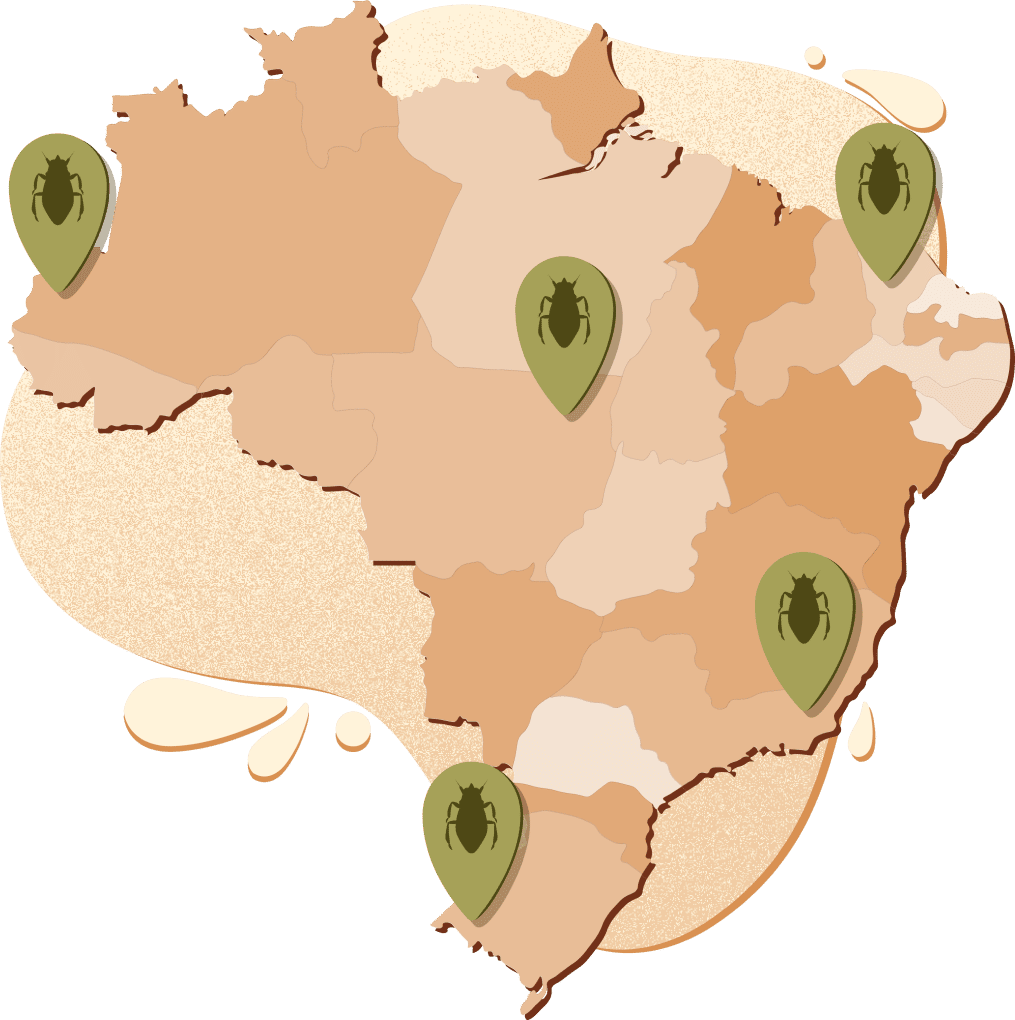 Mapa interativo